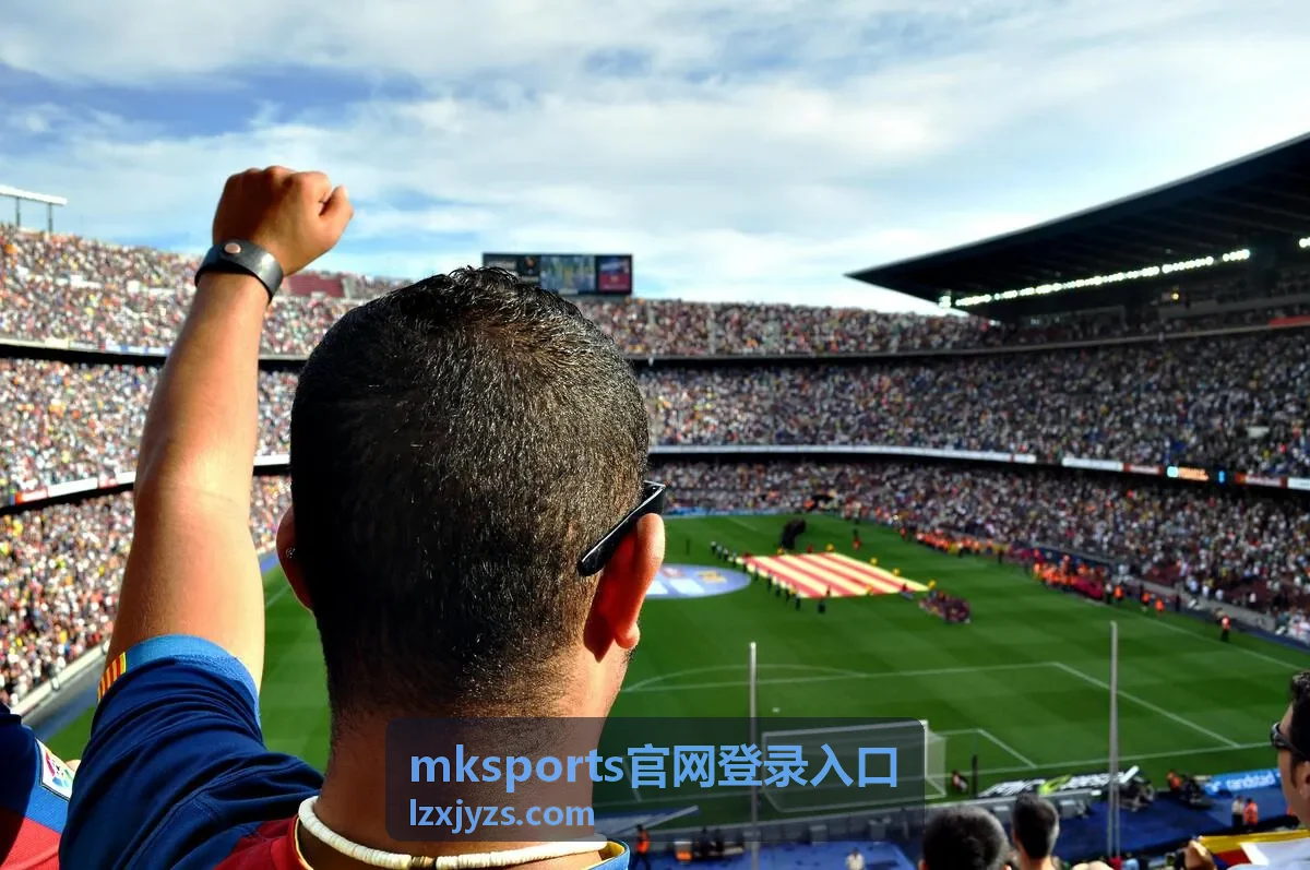 mksports官网登录入口通道指引配图